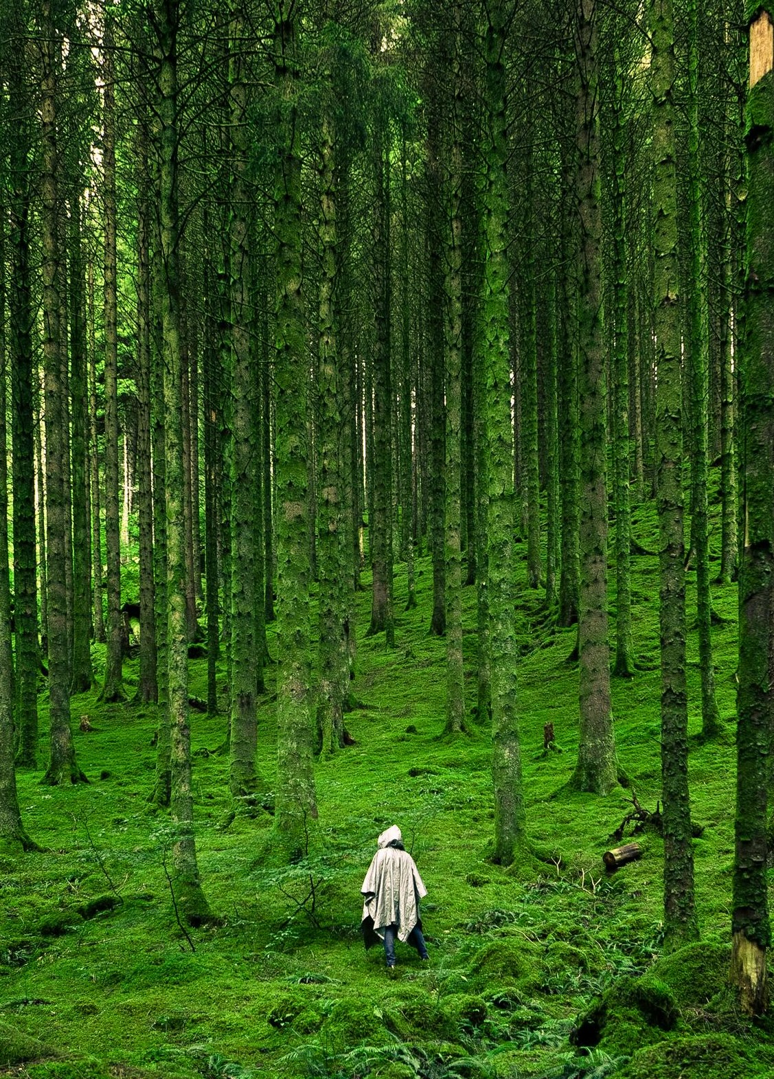 Sustainability Image 1